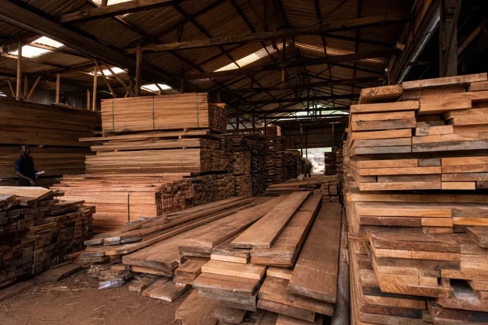 Timber and formwork boards stacked in warehouse cover
